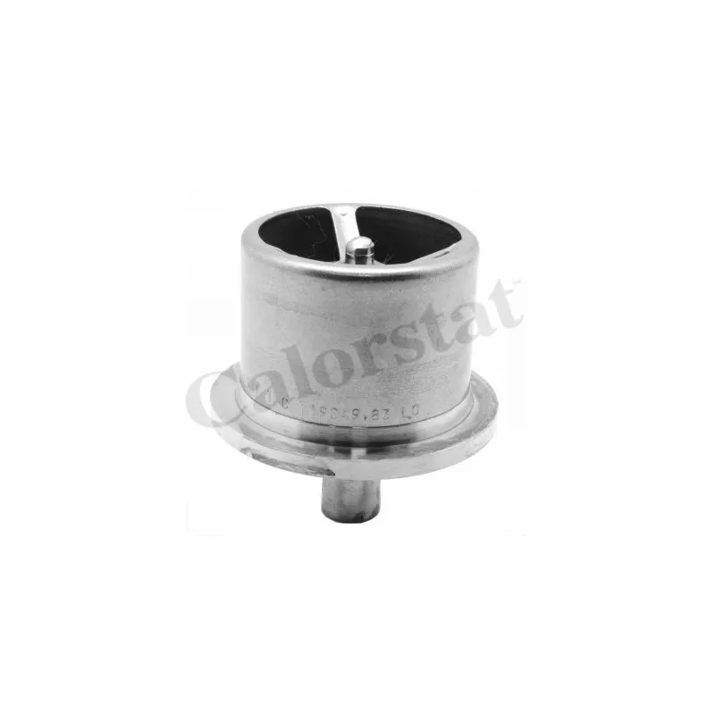 Thermostat d'eau CALORSTAT BY VERNET THCT19049.86