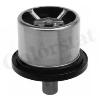 Thermostat d'eau CALORSTAT BY VERNET