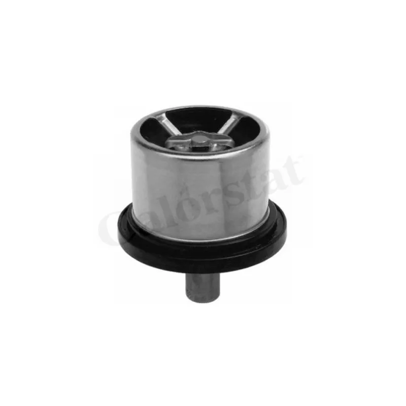 Thermostat d'eau CALORSTAT BY VERNET THCT19054.86