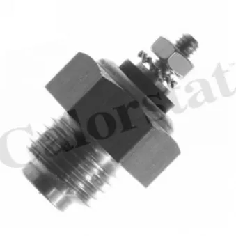 Sonde de température, liquide de refroidissement CALORSTAT BY VERNET