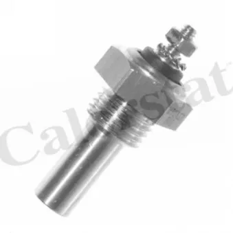 Sonde de température, liquide de refroidissement CALORSTAT BY VERNET
