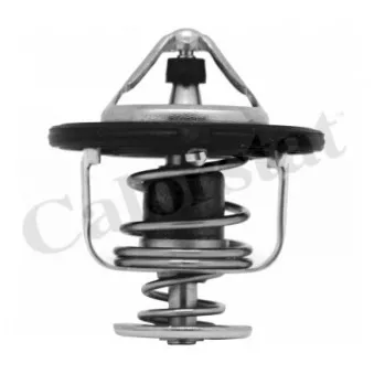 Thermostat d'eau CALORSTAT BY VERNET