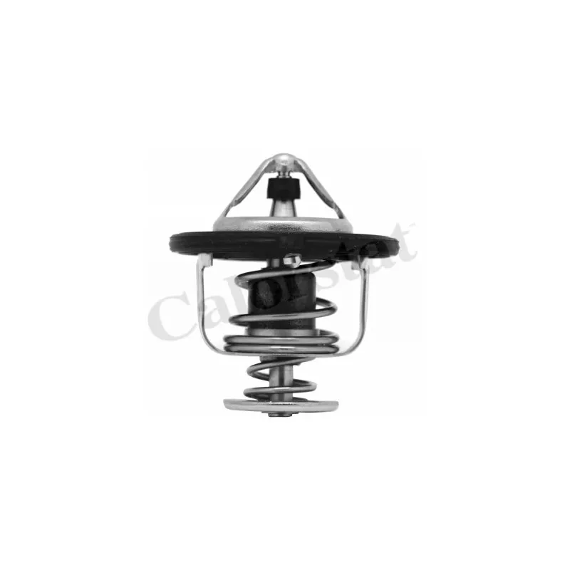 Thermostat d'eau CALORSTAT BY VERNET TH6948.82J