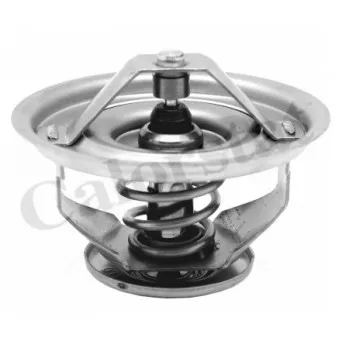 Thermostat d'eau CALORSTAT BY VERNET