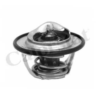 Thermostat d'eau CALORSTAT BY VERNET