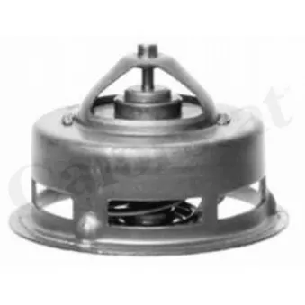 Thermostat d'eau CALORSTAT BY VERNET