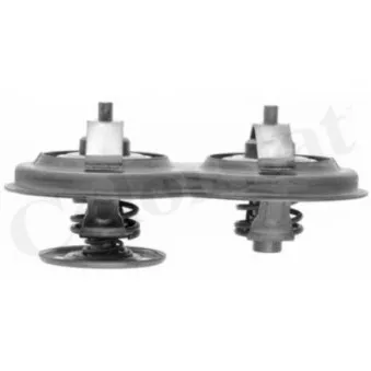 Thermostat d'eau CALORSTAT BY VERNET