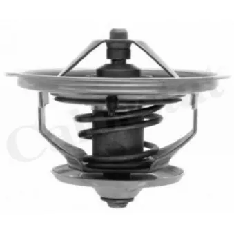 Thermostat d'eau CALORSTAT BY VERNET