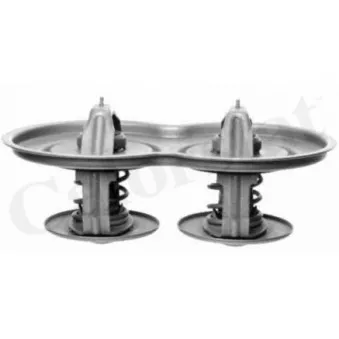 Thermostat d'eau CALORSTAT BY VERNET