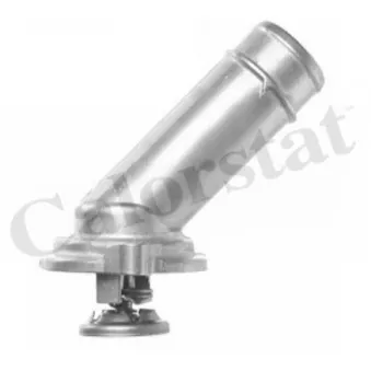 Thermostat d'eau CALORSTAT BY VERNET