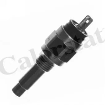 Sonde de température, liquide de refroidissement CALORSTAT BY VERNET