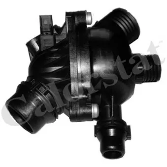 Thermostat d'eau CALORSTAT BY VERNET