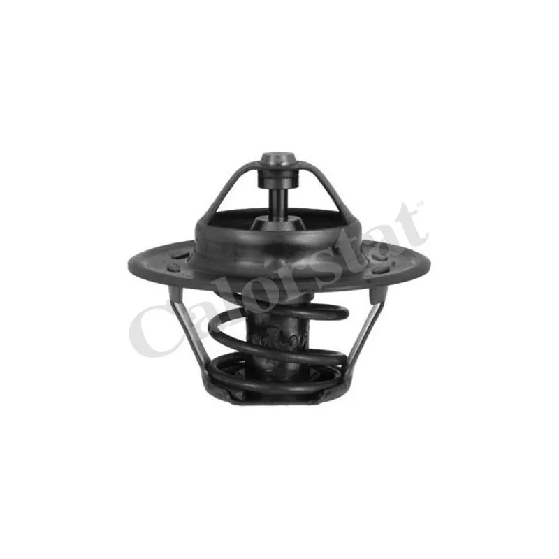 Thermostat d'eau CALORSTAT BY VERNET TH1378.60J