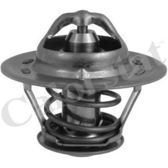 Thermostat d'eau CALORSTAT BY VERNET