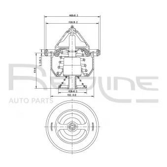 Thermostat d'eau RED-LINE