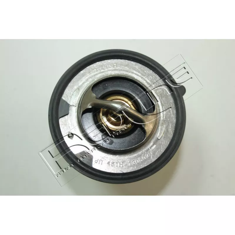 Thermostat d'eau RED-LINE 55DR000 - Visuel 1