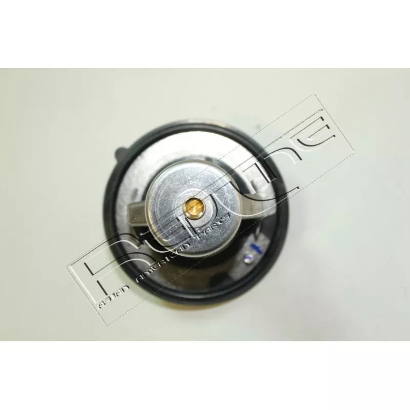 Thermostat d'eau RED-LINE 55DR000 - Visuel 2