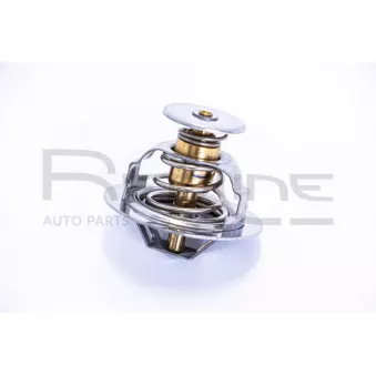 Thermostat d'eau RED-LINE