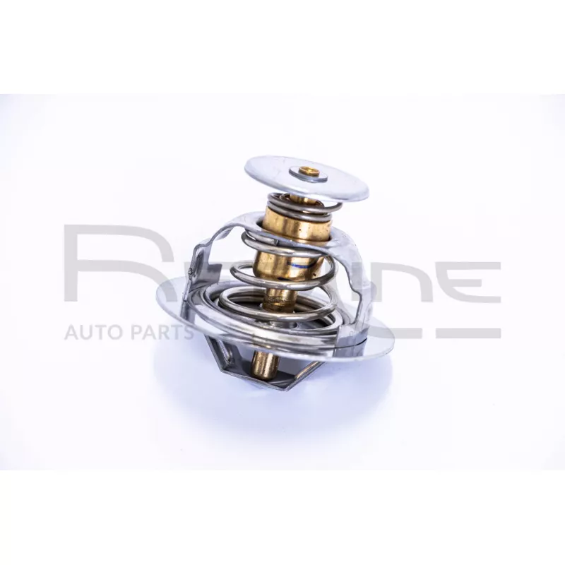 Thermostat d'eau RED-LINE 55NI000