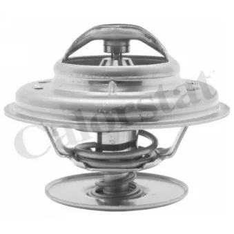 Thermostat d'eau CALORSTAT BY VERNET