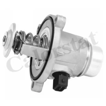 Thermostat d'eau CALORSTAT BY VERNET