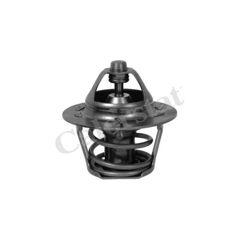 Thermostat d'eau CALORSTAT BY VERNET TH3328.82J