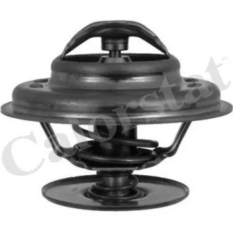 Thermostat d'eau CALORSTAT BY VERNET