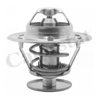 Thermostat d'eau CALORSTAT BY VERNET