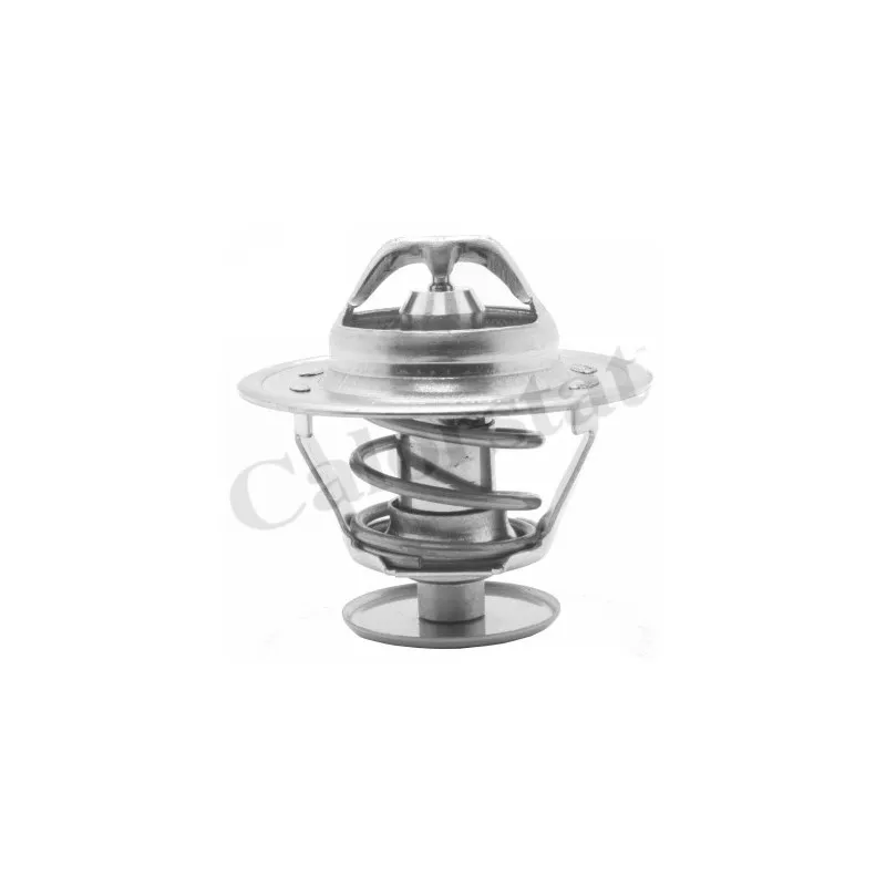 Thermostat d'eau CALORSTAT BY VERNET TH1515.66J