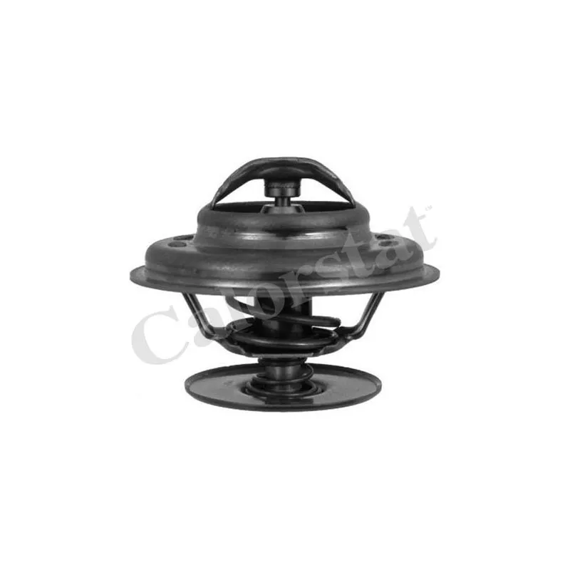 Thermostat d'eau CALORSTAT BY VERNET TH1513.75J