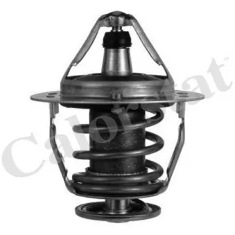 Thermostat d'eau CALORSTAT BY VERNET