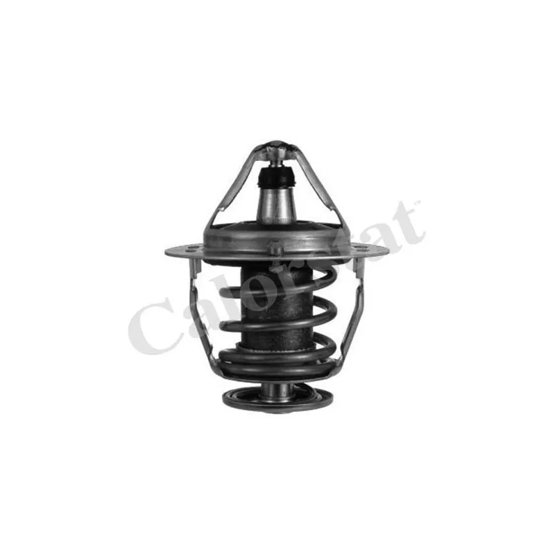 Thermostat d'eau CALORSTAT BY VERNET TH6520.82J