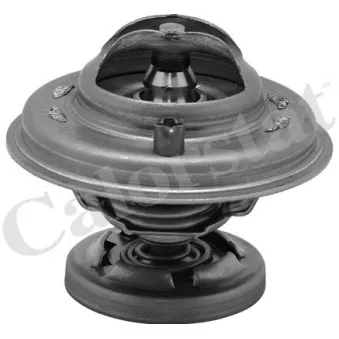 Thermostat d'eau CALORSTAT BY VERNET