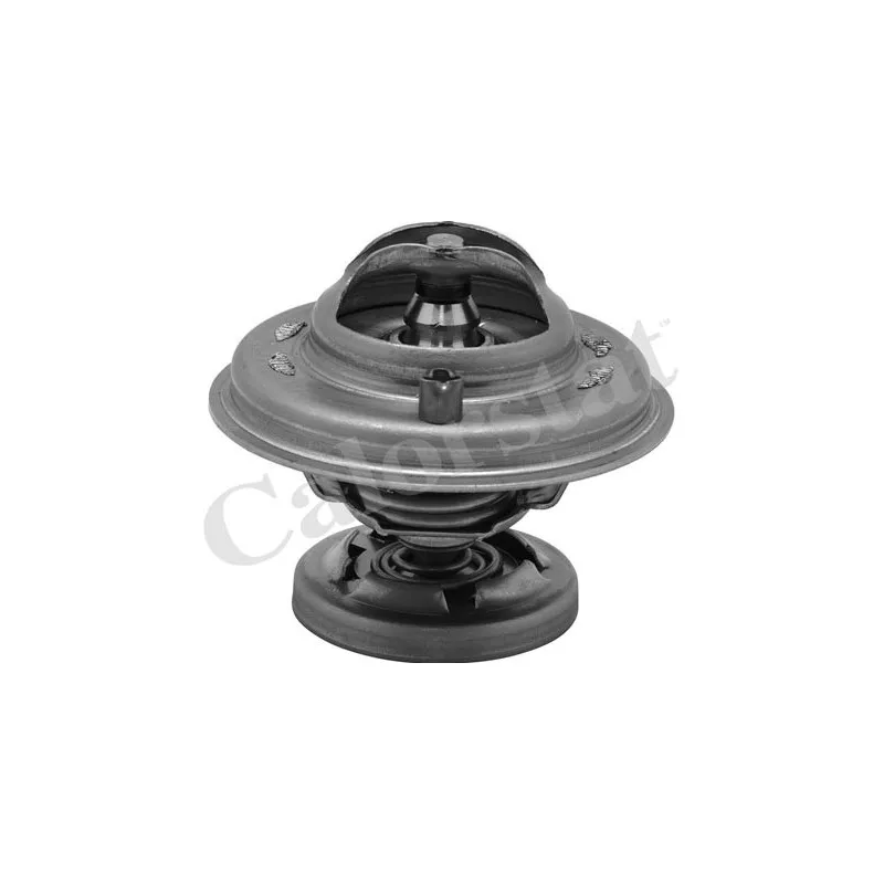 Thermostat d'eau CALORSTAT BY VERNET TH5699.85J