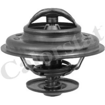 Thermostat d'eau CALORSTAT BY VERNET