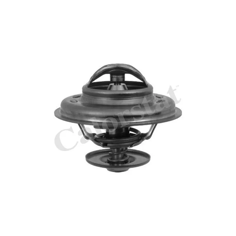 Thermostat d'eau CALORSTAT BY VERNET TH5963.92J