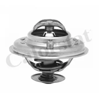 Thermostat d'eau CALORSTAT BY VERNET