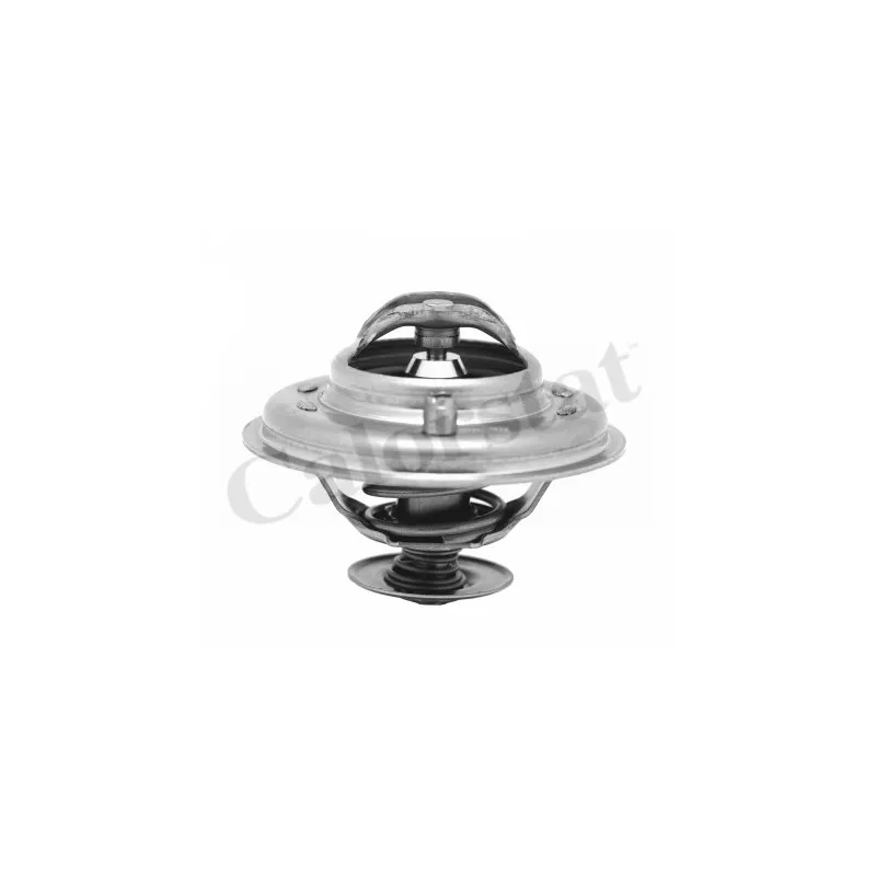 Thermostat d'eau CALORSTAT BY VERNET TH5973.80J