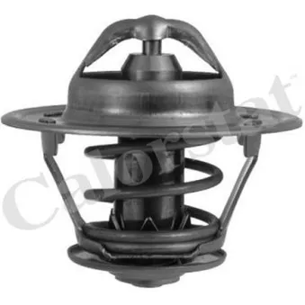 Thermostat d'eau CALORSTAT BY VERNET