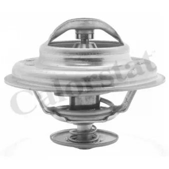 Thermostat d'eau CALORSTAT BY VERNET