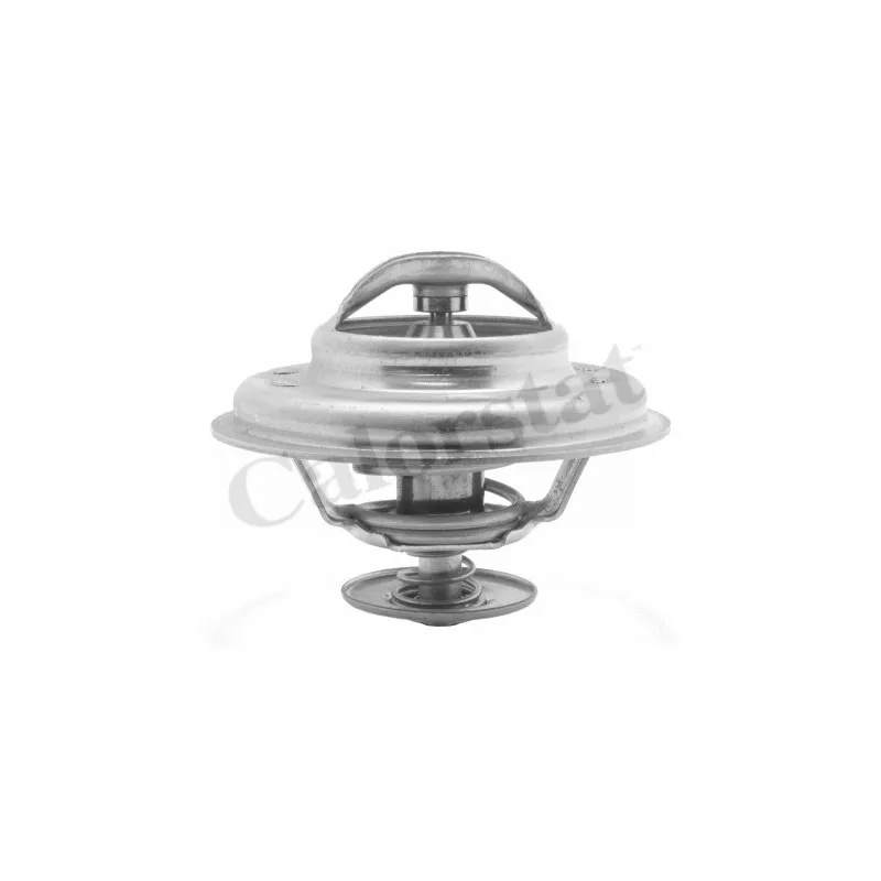 Thermostat d'eau CALORSTAT BY VERNET TH6034.79