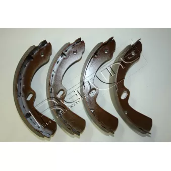 Jeu de mâchoires de frein RED-LINE