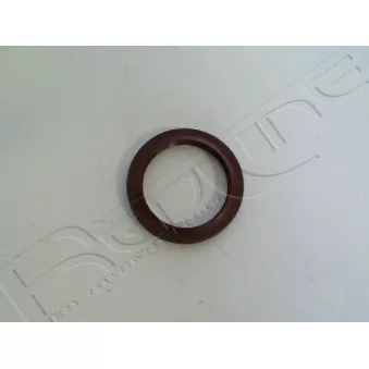 Bague d'étanchéité, vilebrequin RED-LINE