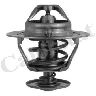 Thermostat d'eau CALORSTAT BY VERNET