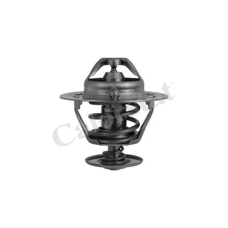 Thermostat d'eau CALORSTAT BY VERNET TH6294.82J