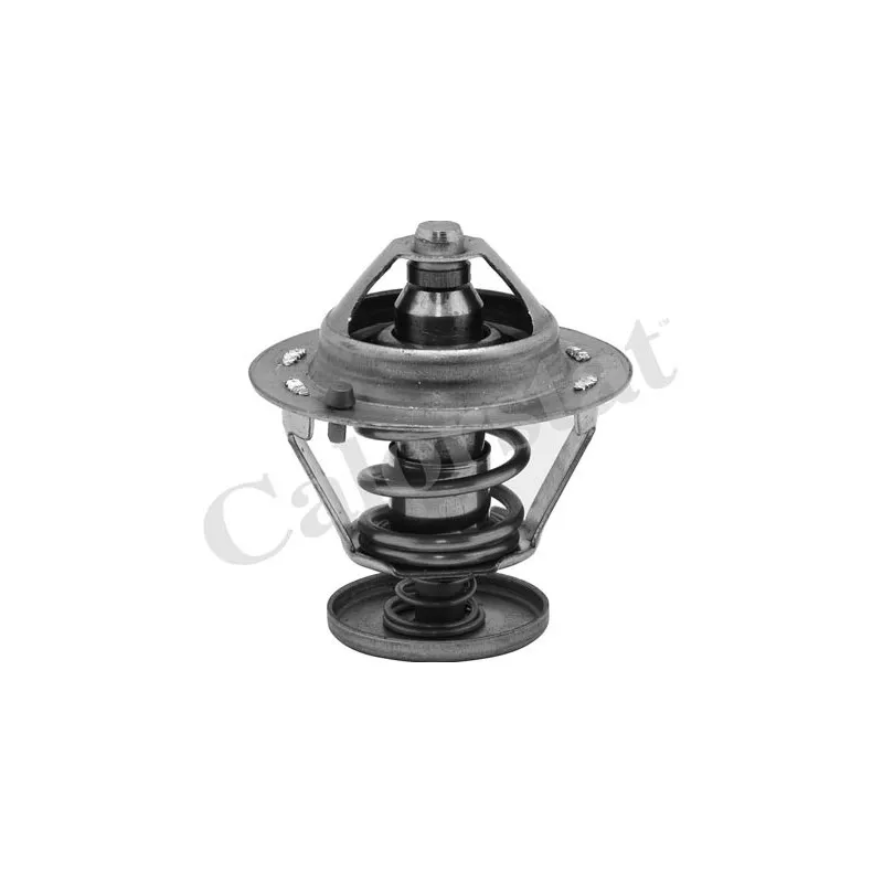 Thermostat d'eau CALORSTAT BY VERNET TH6484.82J