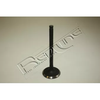 Soupape d'admission RED-LINE 15NI016