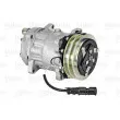 Compresseur, climatisation VALEO 813037 - Visuel 1