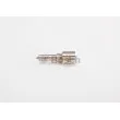 Buse/Gicleur/Injecteur BOSCH 0 433 171 963 - Visuel 1
