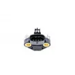 Capteur, pression de suralimentation BOSCH 0 281 002 244 - Visuel 2